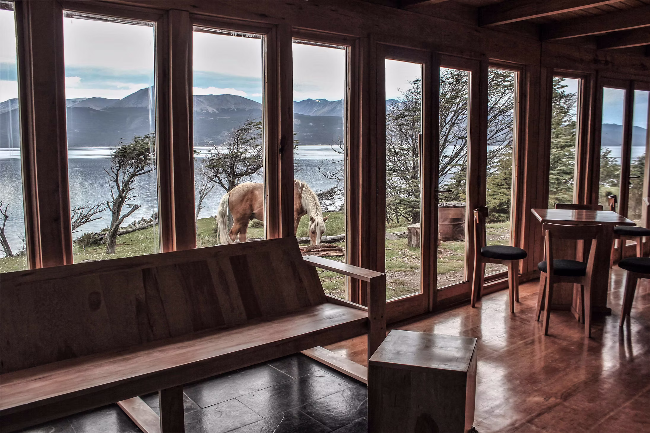 Horse outside the windows, ARCA Residencia, Isla Navarino